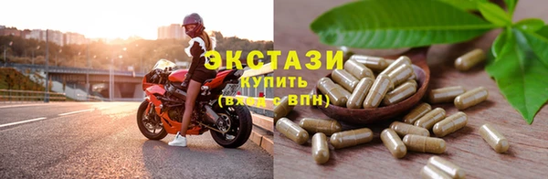 крисы Бородино