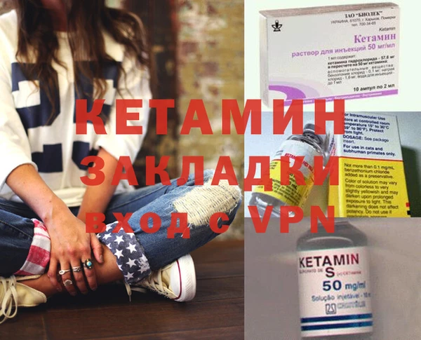 крисы Бородино