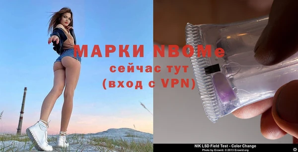 крисы Бородино