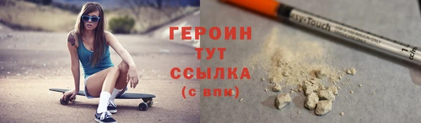крисы Бородино