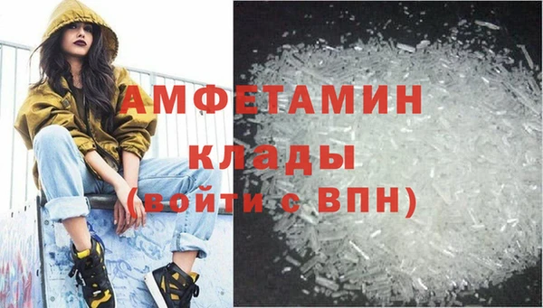 крисы Бородино