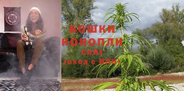 ГАЛЛЮЦИНОГЕННЫЕ ГРИБЫ Бугульма
