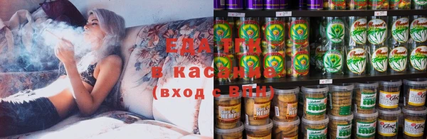 крисы Бородино