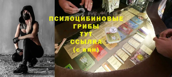 хмурый Волосово