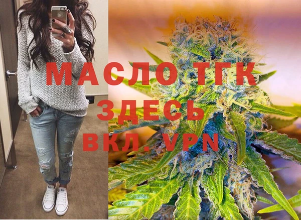крисы Бородино